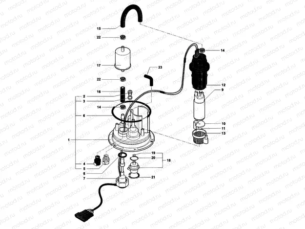 Fuel Pump Assembly