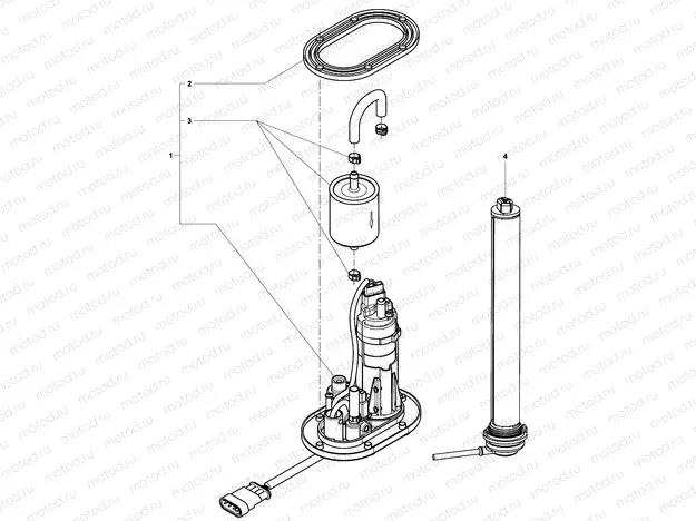 Fuel Pump Assembly