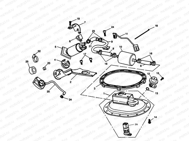 Fuel Pump & Fittings