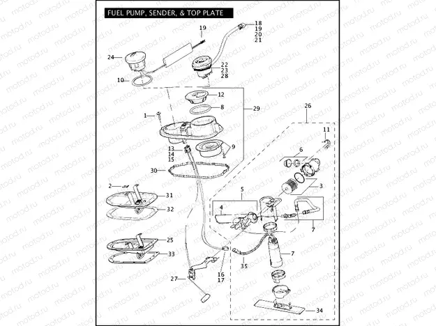 FUEL PUMP, SENDER, & TOP PLATE