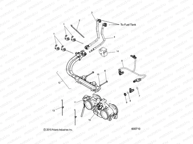 FUEL SYSTEM | FUEL SYSTEM, RAIL, LINES and THROTTLE BODY - S20EFT8PS/EFN8PS ALL OPTIONS (600710)
