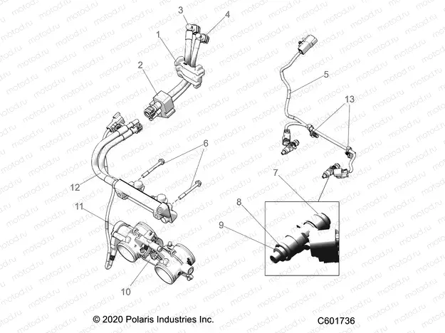 FUEL SYSTEM | FUEL SYSTEM, RAIL, LINES and THROTTLE BODY - S21EFS8RS/8RE ALL OPTIONS (C601736)