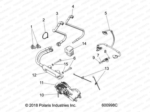 FUEL SYSTEM | FUEL SYSTEM, RAIL, LINES and THROTTLE BODY - S22FJE8PS/PE/FJP8PS/PE ALL OPTIONS (600998C)