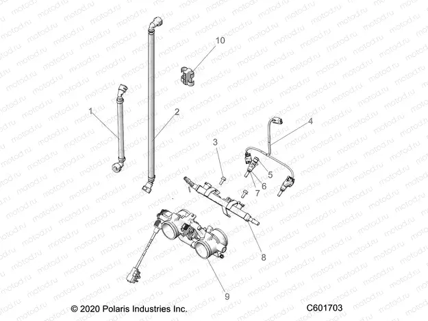 FUEL SYSTEM | FUEL SYSTEM, RAIL, LINES and THROTTLE BODY - S22MDX6DSA/6DEA (C601703)