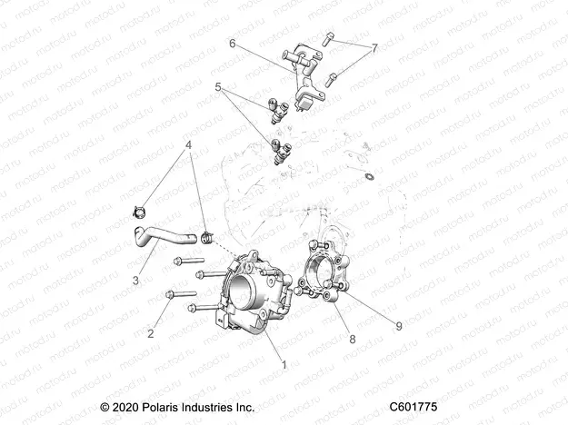 FUEL SYSTEM | FUEL SYSTEM, THROTTLE BODY/FUEL RAIL - S23TLT9FEL (C601775)