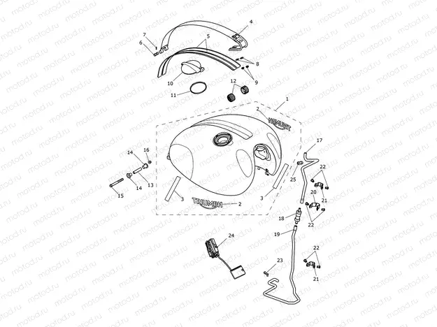 Fuel Tank