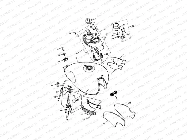 Fuel Tank & Fittings 317246