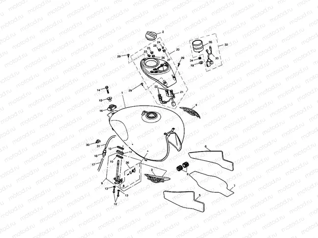 Fuel Tank & Fittings 317247