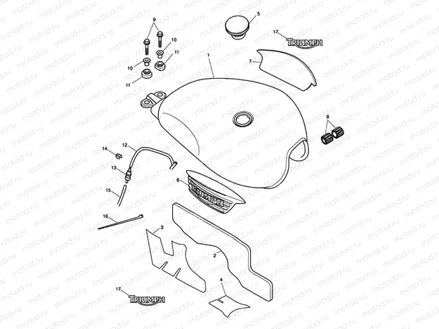 Fuel Tank & Fittings