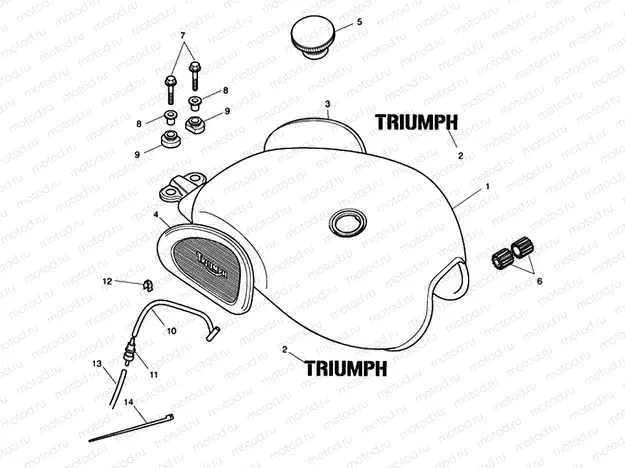 Fuel Tank & Fittings - Steve McQ