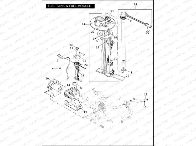 FUEL TANK & FUEL MODULE