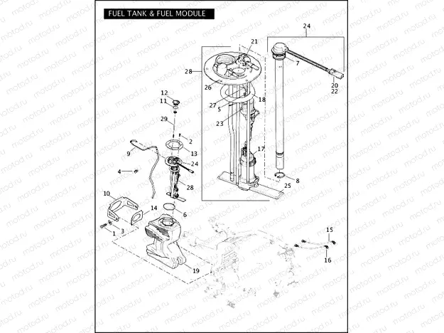 FUEL TANK & FUEL MODULE