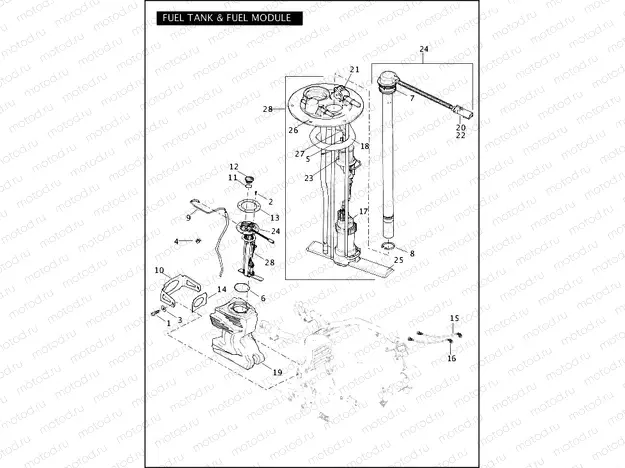 FUEL TANK & FUEL MODULE