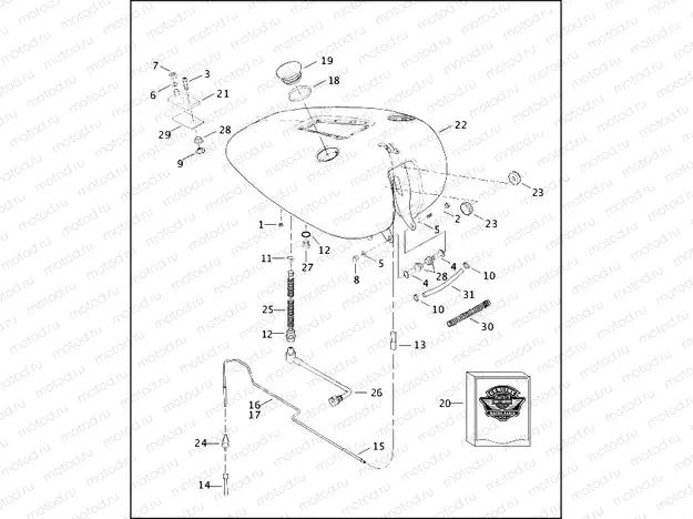 FUEL TANK - FXSTD - FUEL INJECTED