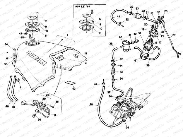 FUEL TANK » TANK/SEAT