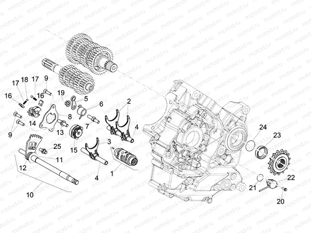 Gear box / Selector / Shift cam