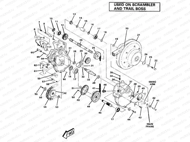 Gearcase Assembly (4910981098038A) | Gearcase Assembly (4910981098038A)