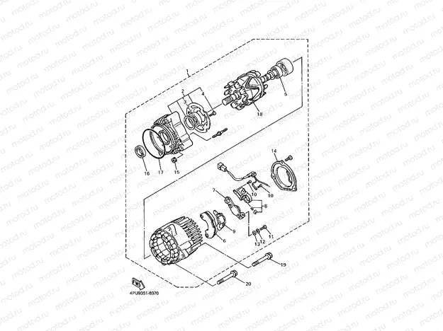 Genetor