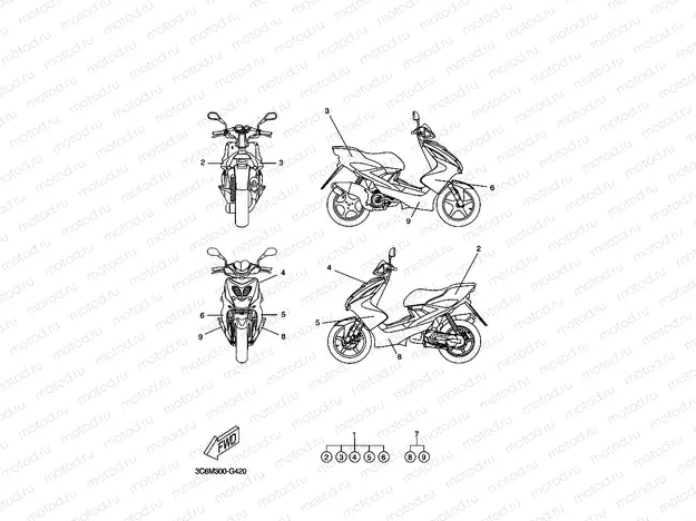 GRAPHIQUE ET EMBLEME