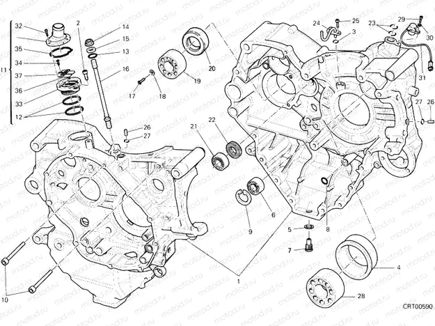 HALF-CRANKCASES PAIR » ENGINE CASE