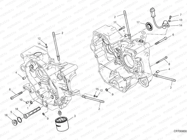 HALF-CRANKCASES PAIR [MOD:SCR800FH]