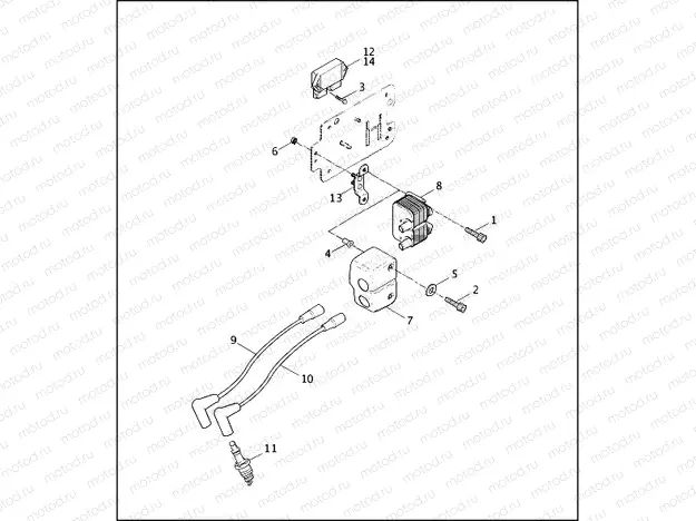 IGNITION MODULE & COIL