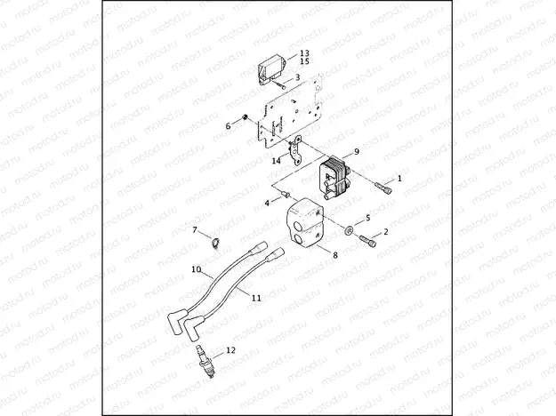 IGNITION MODULE & COIL