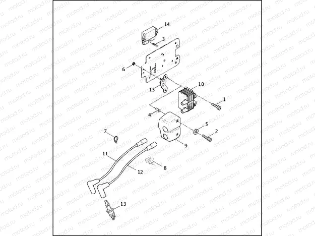 IGNITION MODULE & COIL