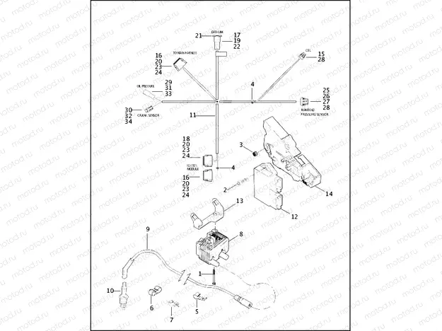 IGNITION MODULE & COIL