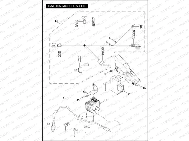 IGNITION MODULE & COIL