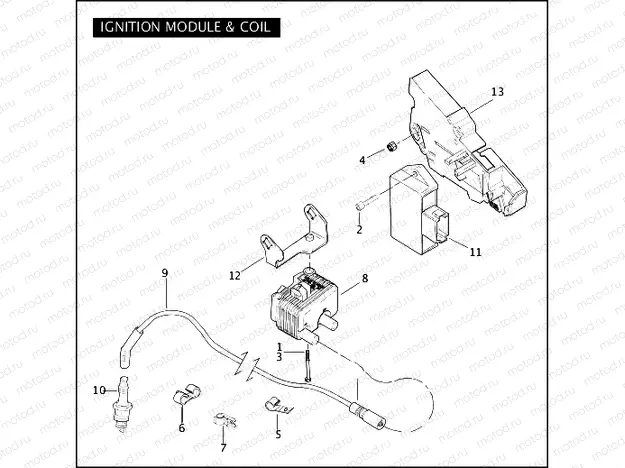 IGNITION MODULE & COIL
