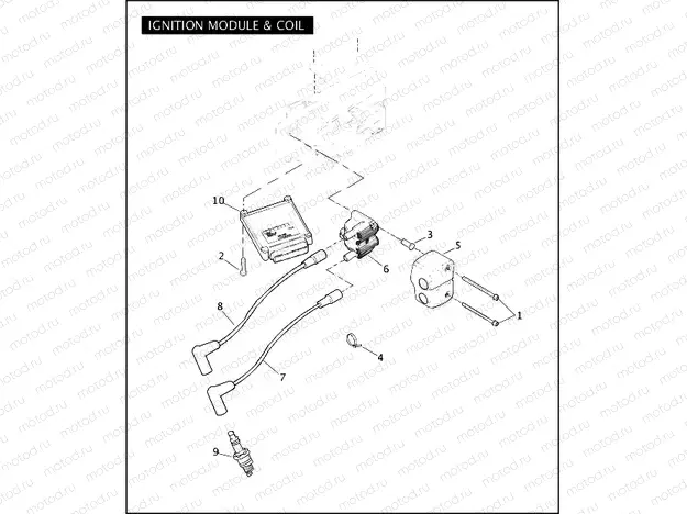 IGNITION MODULE & COIL
