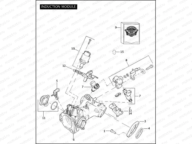 INDUCTION MODULE