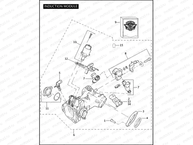 INDUCTION MODULE