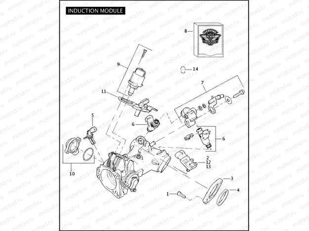 INDUCTION MODULE