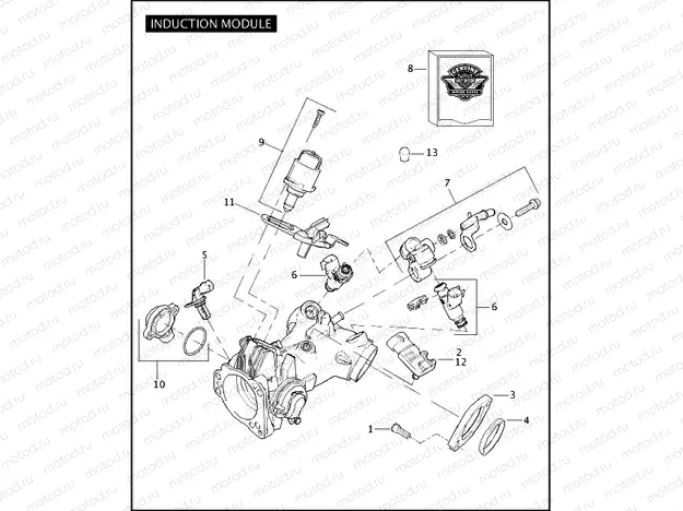 INDUCTION MODULE