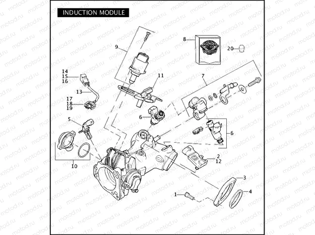 INDUCTION MODULE