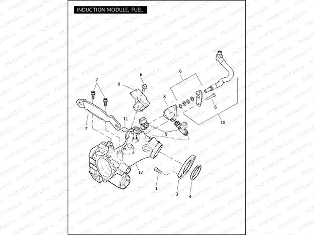 INDUCTION MODULE, FUEL