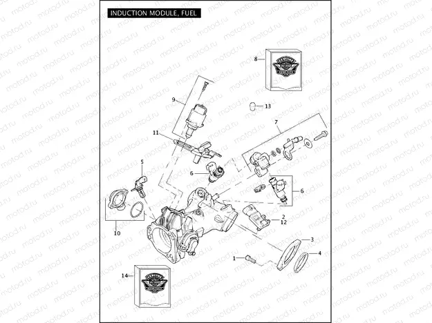 INDUCTION MODULE, FUEL