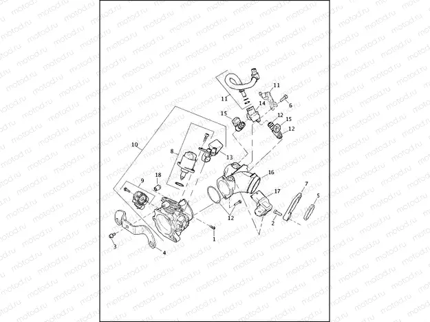 INDUCTION MODULE, FUEL