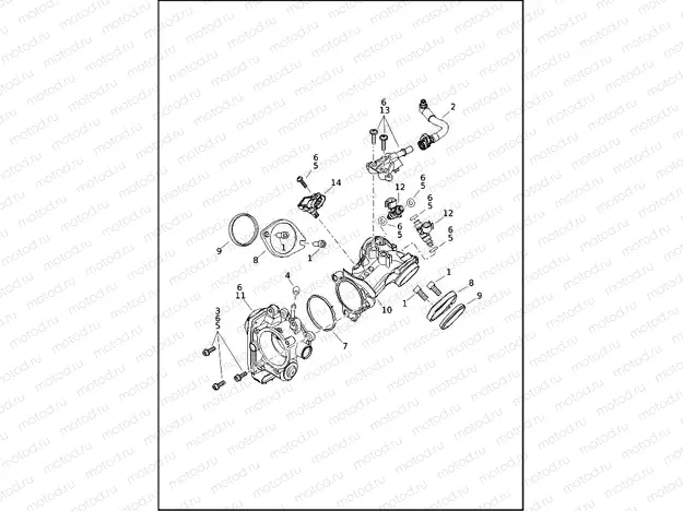INDUCTION MODULE, FUEL