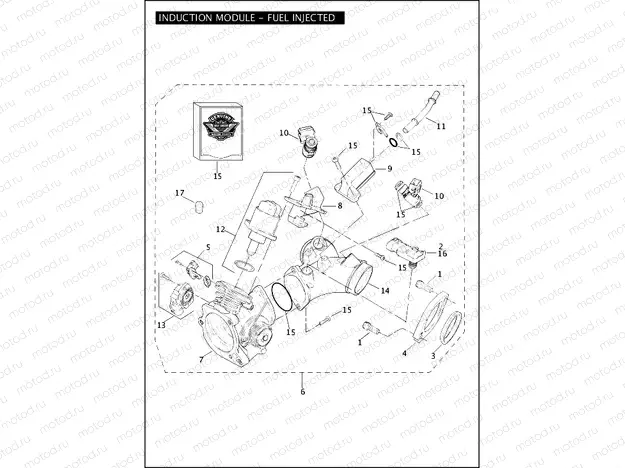 INDUCTION MODULE - FUEL INJECTED
