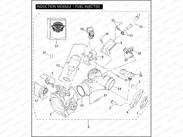 INDUCTION MODULE - FUEL INJECTED