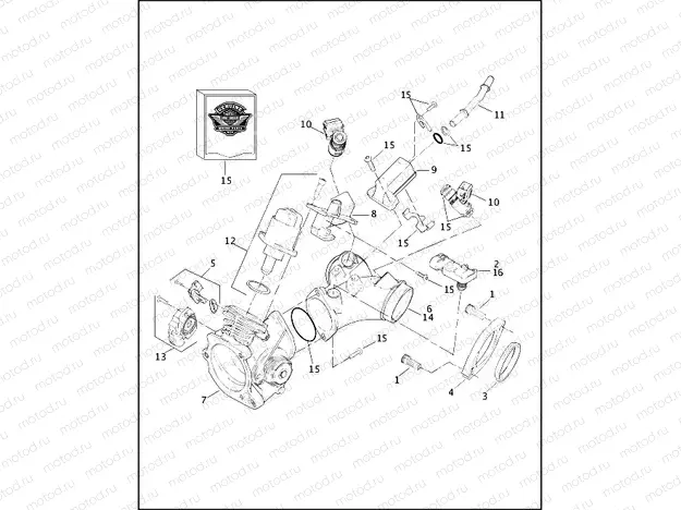 INDUCTION MODULE - FUEL INJECTED MODELS