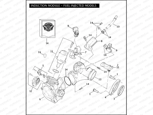 INDUCTION MODULE - FUEL INJECTED MODELS