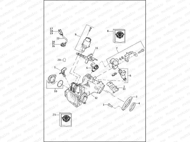 INDUCTION MODULE, FUEL - TWIN CAM 96â¢ AND TWIN CAM 103â¢ (2 OF 2)