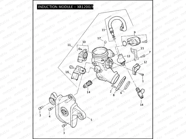 INDUCTION MODULE - XR1200/X