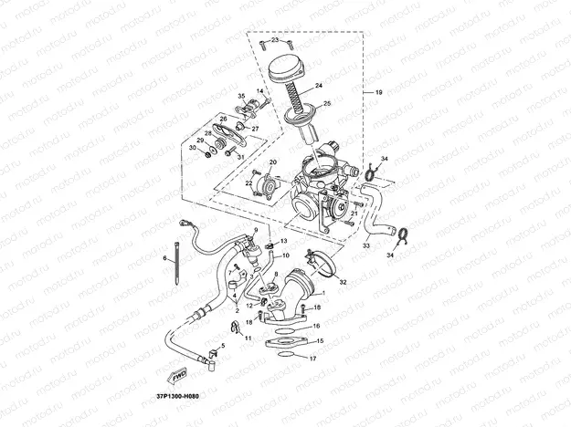 INTAKE
