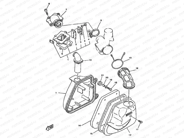 INTAKE