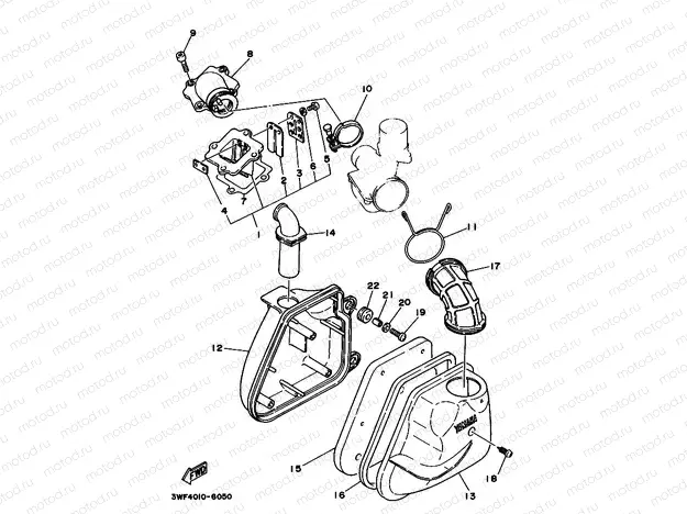 Intake